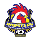 Лейк Маккуори Сити