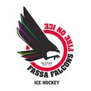 Фасса Фальконс