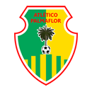 Атлетико Пальмафлор