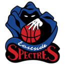 Нанауодинг Спектрз