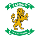 Карпаты Галич
